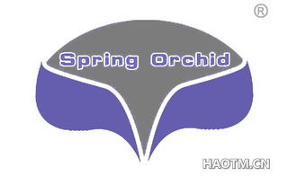  SPRING ORCHID