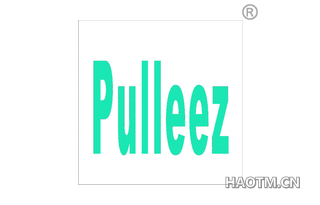 PULLEEZ