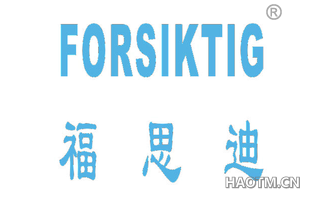 福思迪 FORSIKTIG