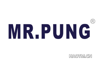 MR PUNG