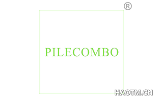 PILECOMBO