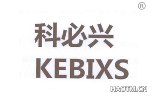 科必兴 KEBIXS