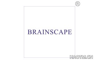 BRAINSCAPE