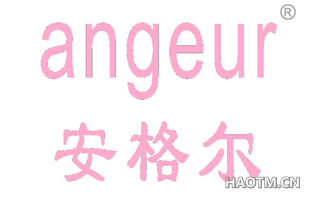 安格尔 ANGEUR