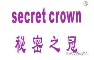 秘密之冠 SECRET CROWN