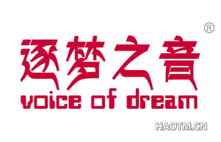 逐梦之音 VOICE OF DREAM