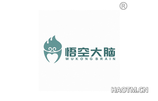 悟空大脑 WUKONGBRAIN