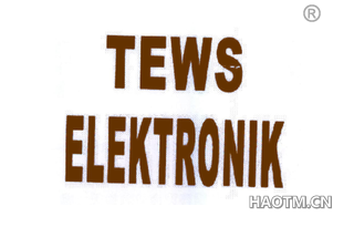 TEWS ELEKTRONIK