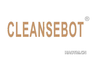 CLEANSEBOT