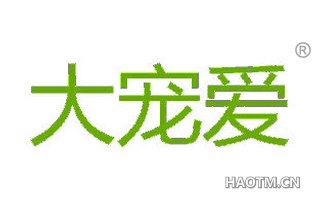 大宠爱