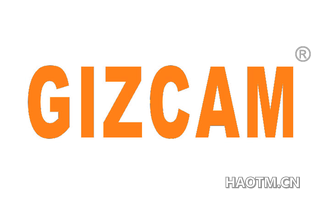 GIZCAM