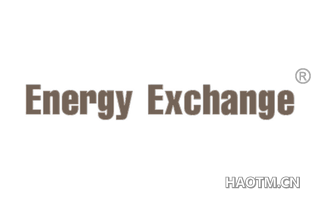 ENERGY EXCHANGE