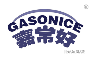 嘉常好 GASONICE