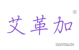 艾革加