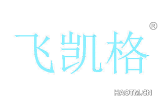飞凯格
