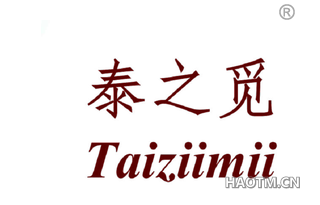 泰之觅 TAIZIIMII