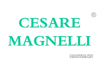 CESARE MAGNELLI