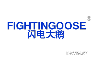 闪电大鹅 FIGHTINGOOSE