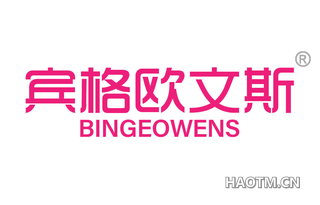 宾格欧文斯 BINGEOWENS