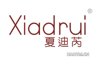 夏迪芮 XIADRUI