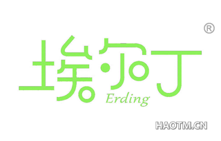 埃尔丁 ERDING