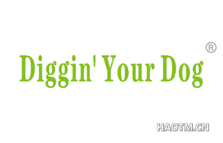DIGGIN YOUR DOG