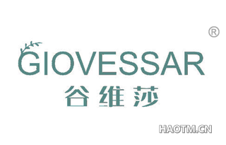 谷维莎 GIOVESSAR