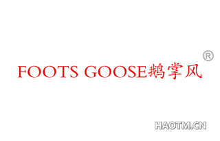 鹅掌风 FOOTS GOOSE