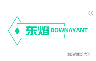 东焰 DOWNAYANT