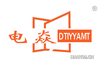 电焱 DTIYYAMT