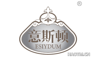 意斯顿 ESIYDUM