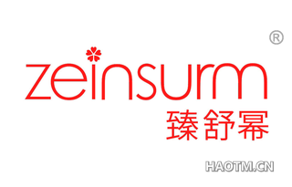 臻舒幂 ZEINSURM
