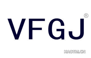  VFGJ