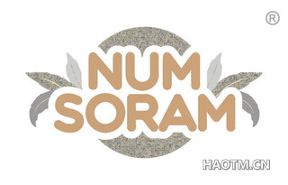  NUM SORAM