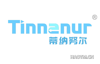 蒂纳努尔 TINNANUR