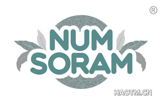  NUMSORAM