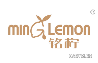 铭柠 MING LEMON