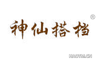 神仙搭档