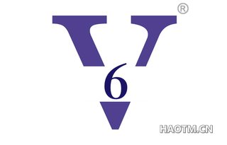 V6
