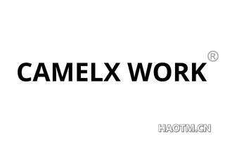 CAMELX WORK