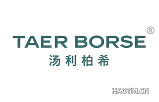 汤利柏希 TAER BORSE