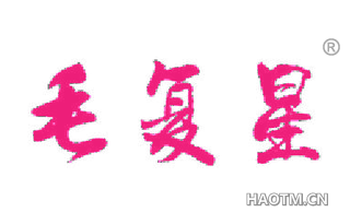 毛复星