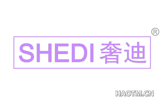 奢迪