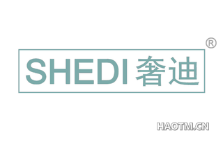 奢迪