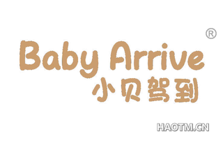 小贝驾到 BABY ARRIVE