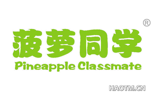 菠萝同学 PINEAPPLE CLASSMATE