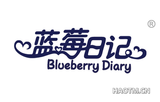 蓝莓日记 BLUEBERRY DIARY