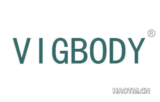 VIGBODY
