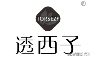 透西子 TORSEZY