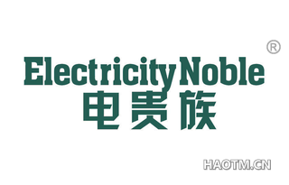 电贵族 ELECTRICITY NOBLE